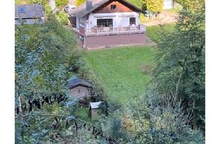 Haus kaufen in 54311 Trierweiler, Trierweiler - Ferienhaus zum Verkauf