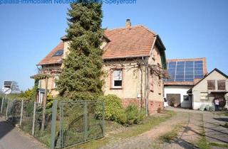 Wohnung kaufen in 76879 Bornheim, Bornheim - Haus mit zwei Wohneinheiten und 7000m² Grundstück Bornheim
