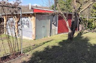 Haus kaufen in 13125 Berlin, Berlin - Holzhäuschen mit Garten im Gartenanlage am Wald, Ostsee, Wolgast