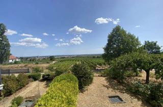 Wohnung kaufen in 67434 Hambach, 2 Zimmer Apartment auf 50 m² mit Balkon in Hambach - unverbauter Blick über die Rheinebene