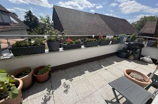Wohnung mieten in 74545 Michelfeld, Lichtdurchflutete 2,5-Zimmer Mietwohnung in Rinnen! -Mit Einbauküche, Stellplatz und Balkon-