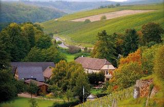 Wohnung mieten in Grund 65, 65366 Geisenheim, Leben auf einem idyllischen Weingut in Johannisberg - privat 3,5 Zimmer mit EBK, Terrasse und Garten