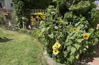 Wohnung mieten in 99085 Krämpfervorstadt, 2,5 Zimmer im Erfurter Zentrum - Nähe FH/HMU/UNI - ideal für Singles oder Paare - mit Gartennutzung!