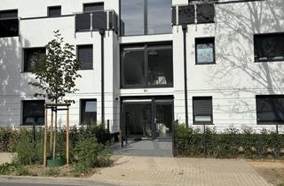 Wohnung mieten in 50126 Bergheim, Ruhige Souterrain-Wohnung mit Terrasse