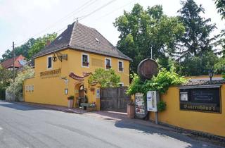 Gewerbeimmobilie kaufen in 01662 Meißen, Hotspot für Wanderer & Genießer