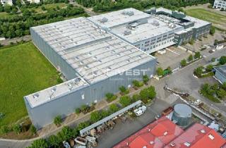 Gewerbeimmobilie mieten in 85586 Poing, Exklusiv im Alleinauftrag: Top moderne Produktions- und Logistikflächen im Technologiepark Poing
