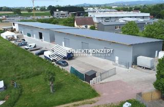 Gewerbeimmobilie kaufen in 77972 Mahlberg, Provisionsfrei kaufen! Werthaltige Kapitalanlage 100 % vermietet, nachhaltige Bauweise