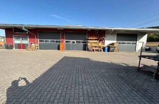 Gewerbeimmobilie kaufen in 78359 Orsingen-Nenzingen, Gut vermietete Gewerbehalle mit PV & Ausbaupotenzial