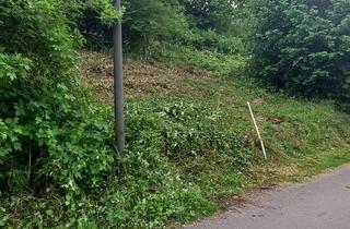 Grundstück zu kaufen in 54439 Saarburg, Grundstück im Saarburg ruhige Lage