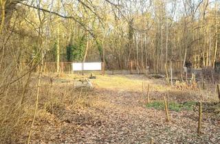 Grundstück zu kaufen in 16552 Schildow, Traumgrundstück für Einfamilienhaus in beliebter Wohnlage in Schildow