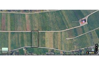 Grundstück zu kaufen in 71364 Winnenden, Weingarten in Winnenden Hanweiler zu verkaufen!