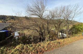 Grundstück zu kaufen in 69250 Schönau, Schönau: erschlossenes Baugrundstück in sonniger Hanglage