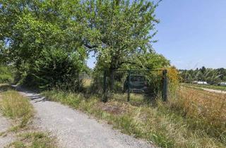 Grundstück zu kaufen in 75177 Nordstadt, Gartenfreunde aufgepasst! - Freizeitgrundstück im beliebten Gartengebiet Krummer Weg / Riebergle