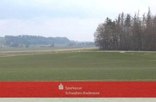 Gewerbeimmobilie kaufen in 86842 Türkheim, PREISREDUZIERUNG!!! Wiese bei Türkheim