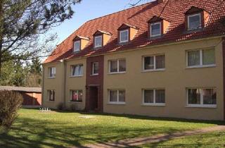 Wohnung mieten in Michaelisstraße 11, 23701 Eutin, Gepflegte 2-Zimmer-Dachgeschosswohnung mit Balkon in Eutin Neudorf