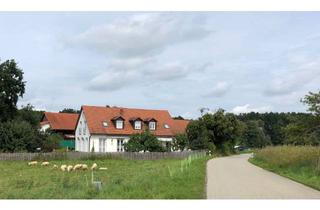 Wohnung mieten in Westerndorf 9a, 85778 Haimhausen, 2-Zimmer Gartenwohnung - für Landliebhaber - Südterrasse