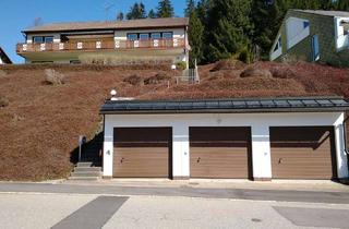 Haus kaufen in 78120 Furtwangen, Vielseitig nutzbares Zweifamilienhaus mit unverbaubarer Aussicht