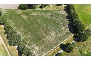 Immobilie kaufen in 48465 Quendorf, Landwirtschaftliche Flächen in Quendorf gegen Gebot