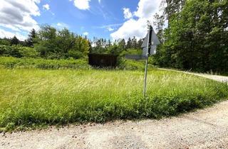 Garagen kaufen in 90592 Schwarzenbruck, Sommertraum: Eckgrundstück für ein Wochenendhaus am alten Kanal in Schwarzenbruck-Pfeifferhütte
