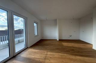 Penthouse mieten in 17034 Neubrandenburg, Lichtdurchflutetes Penthouse mit Sonnenterrasse und stilvollem Neubauflair
