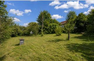 Immobilie kaufen in 97076 Würzburg, Würzburg-Stadtgebiet: sonniges, gut bebaubares Grundstück zu verkaufen