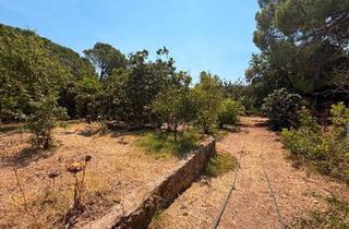 Villa kaufen in 65197 Wiesbaden, Wiesbaden - Charmante Villa in Bodrum!