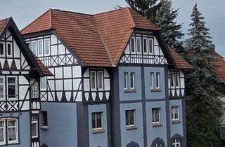 Wohnung mieten in 98617 Meiningen, Zwei-Raum-Wohnung im Erdgeschoss