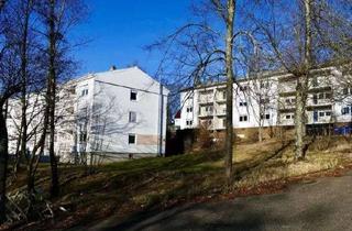 Wohnung mieten in In Den Tannen 12, 66953 Pirmasens, 385.11 Schöne 3ZKB Wohnung In den Tannen 12 in Pirmasens