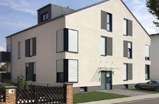 Wohnung mieten in 64354 Reinheim, Hochwertig ausgestattete 2 Zi. Dachgeschosswohnung in 64354 Reinheim