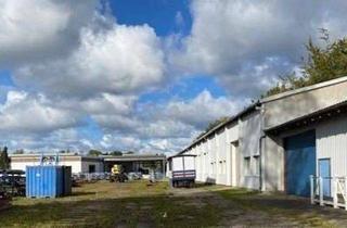 Geschäftslokal mieten in Chausseestraße 41, 18356 Barth, Hallen-, Produktions-, Büro-, Archiv-, Werkstatt, Hobby- und Außenfläche 150-1000m² - 23km zum Darß