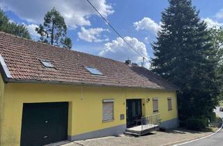 Haus kaufen in 54574 Kopp, Haus in Alleinlage mit großem Grundstück und 2 Wohnungen