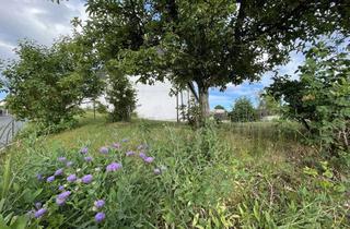 Doppelhaushälfte kaufen in 71032 Böblingen, Doppelhaushälfte mit Erweiterungspotenzial, schönem Garten und Garage