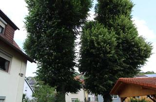 Haus kaufen in 75236 Kämpfelbach, Top Angebot: 2 Häuser + bis zu 80 TEUR Zuschuss*