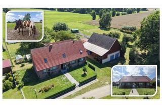 Haus kaufen in 19294 Grebs, Liebevoll sanierter Resthof - Paradies für Pferdehalter und Naturliebhaber
