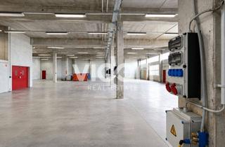 Geschäftslokal mieten in 51789 Lindlar, Gewerbehallen mit Bürogebäude auf Prosuktionsarel | Lindlar Klause | Vidan Real Estate