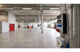 Büro zu mieten in 51789 Lindlar, Gewerbehallen mit Bürogebäude auf Prosuktionsarel | Lindlar Klause | Vidan Real Estate