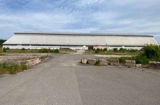 Gewerbeimmobilie kaufen in 06449 Giersleben, Gewerbe- & Logistikareal | ca. 90.000 m² Grundstück | 5.000 m² Halle | PV-Anlage & Erweiterung