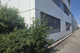 Büro zu mieten in Nebelhornstraße, 87719 Mindelheim, Industriehalle mit Büros und Freifläche in Mindelheim