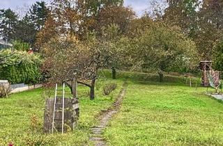 Grundstück zu kaufen in 76532 Haueneberstein, Großzügiges Traumgrundstück in ruhiger Lage von Haueneberstein