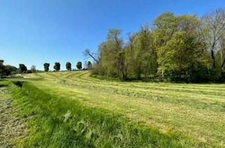 Grundstück zu kaufen in 06618 Naumburg, +++ Baugrundstück, Wiesengrundstück und Waldgrundstück im Paket in 06618 Schmerdorf zu verkaufen +++