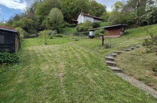 Grundstück zu kaufen in Am Hundsrück, 69517 Gorxheimertal, Seltenes Angebot: solides Einfamilienhaus und extra Baugrundstück in Südlage