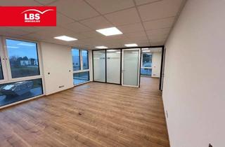 Büro zu mieten in 32545 Bad Oeynhausen, Moderne Büroräume in Bestlage Bad Oeynhausens!