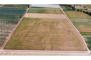 Gewerbeimmobilie kaufen in 67161 Gönnheim, Großzügige Landfläche in 67161 Gönnheim – ca. 59.818 m² – Kaufpreis gegen Angebot