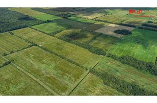Gewerbeimmobilie kaufen in 26931 Elsfleth, Landwirtschaftliche Grünlandfläche ca. 61 ha. in Elsfleth Moorhausen