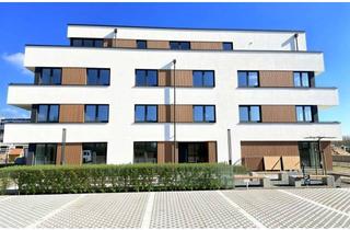 Wohnung kaufen in 52388 Nörvenich, 4-Zimmer-Neubauwohnung mit Terrasse | Kapitalanlage | Vicus Quartier Nörvenich