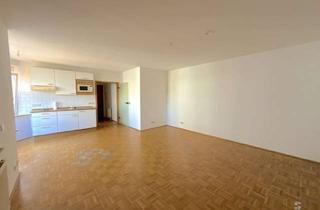 Wohnung mieten in 65520 Bad Camberg, Ruhige 1-Zimmer-Wohnung mit EBK zentral in Bad Camberg – sofort beziehbar!