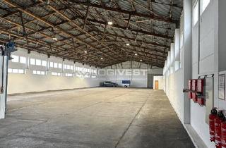 Gewerbeimmobilie mieten in 04509 Delitzsch, Attraktive Kaltlagerhalle mit Werkstatt