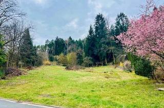 Grundstück zu kaufen in Grüngraben 24, 95500 Heinersreuth, Attraktives Baugrundstück mit 1.862 m² in Altenplos – flexibel teilbar in zwei Grundstücke
