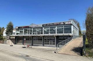 Gewerbeimmobilie mieten in Heinz-Schnaufer-Str. 60, 75365 Calw, Repräsentative Gewerbeimmobilie vielseitig verwendbar