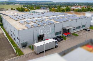 Gewerbeimmobilie kaufen in 74388 Talheim, Produktionshalle mit Bürotrakt und Photovoltaikanlage in Talheim